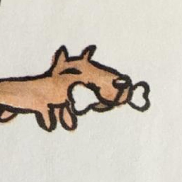 radrayster